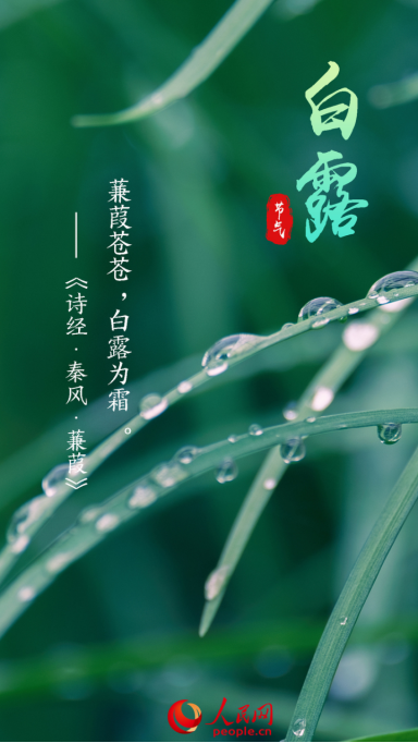 1694565585724402.png image.png